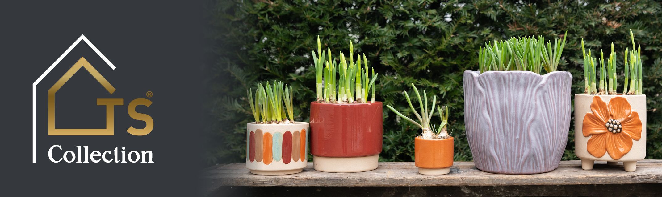 Bulbes à fleurs Bulbes à fleurs