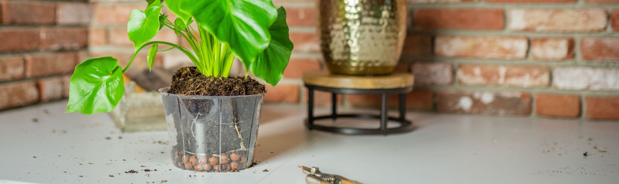 Inserts pots Inserts pots