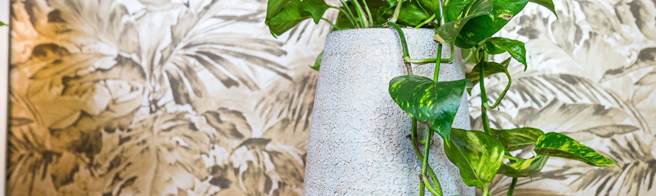 Pot éléve Pot éléve