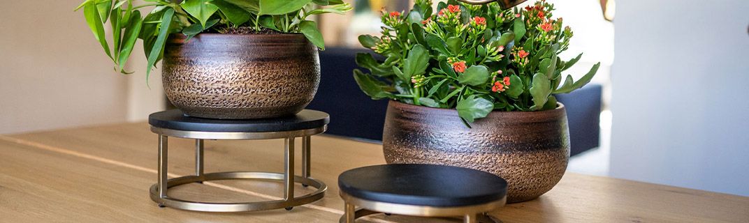 TS Collection - lifestyle indoor TS Collection - lifestyle indoor