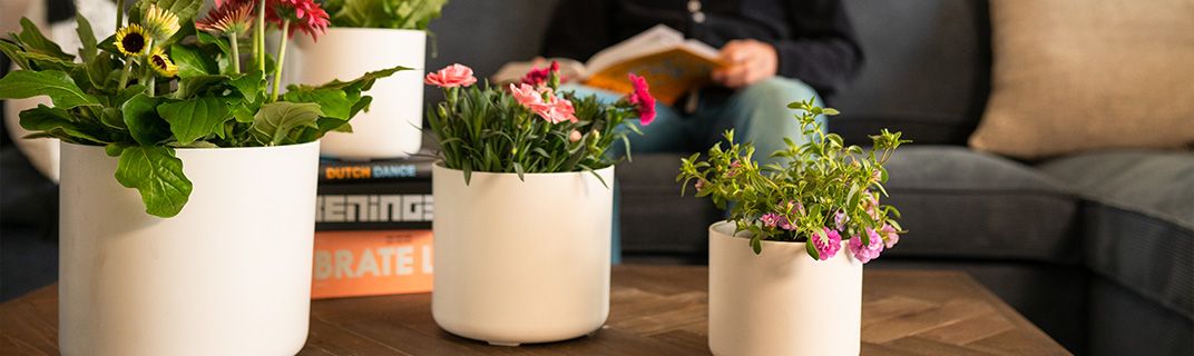 Un pot de fleurs en Artstone est durable à tous points de vue Ter Steege Ter Steege