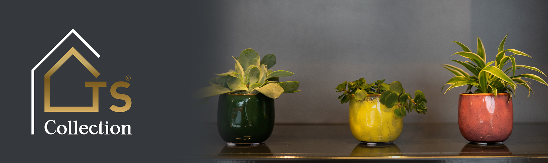 Multicolor Multicolor