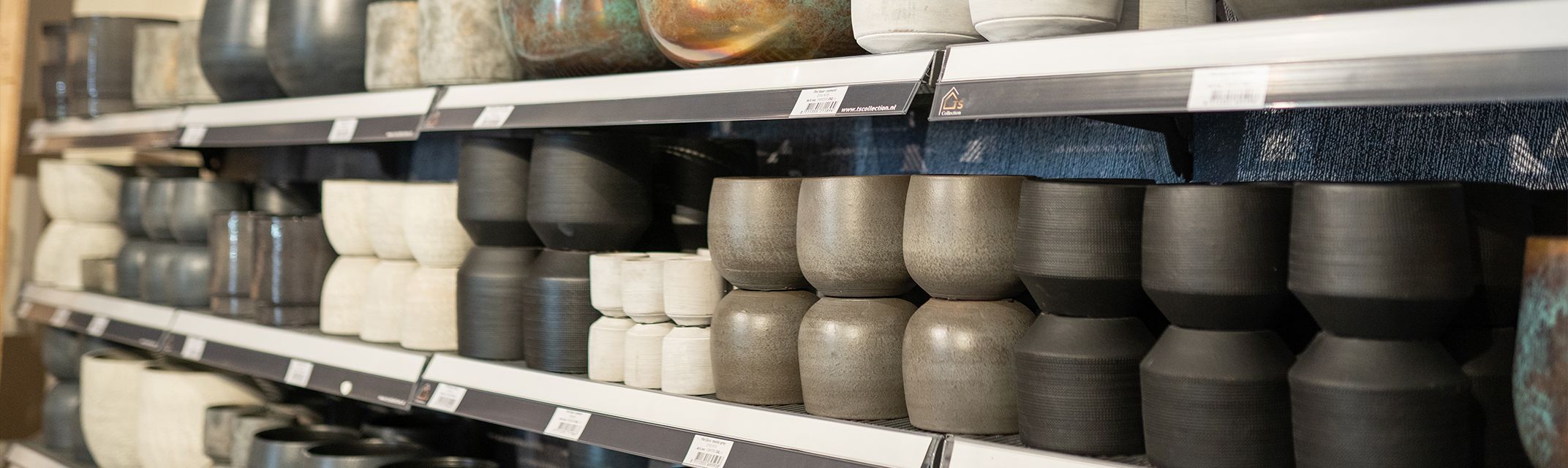 Future Rebel 4 meter Future Rebel 4 meter