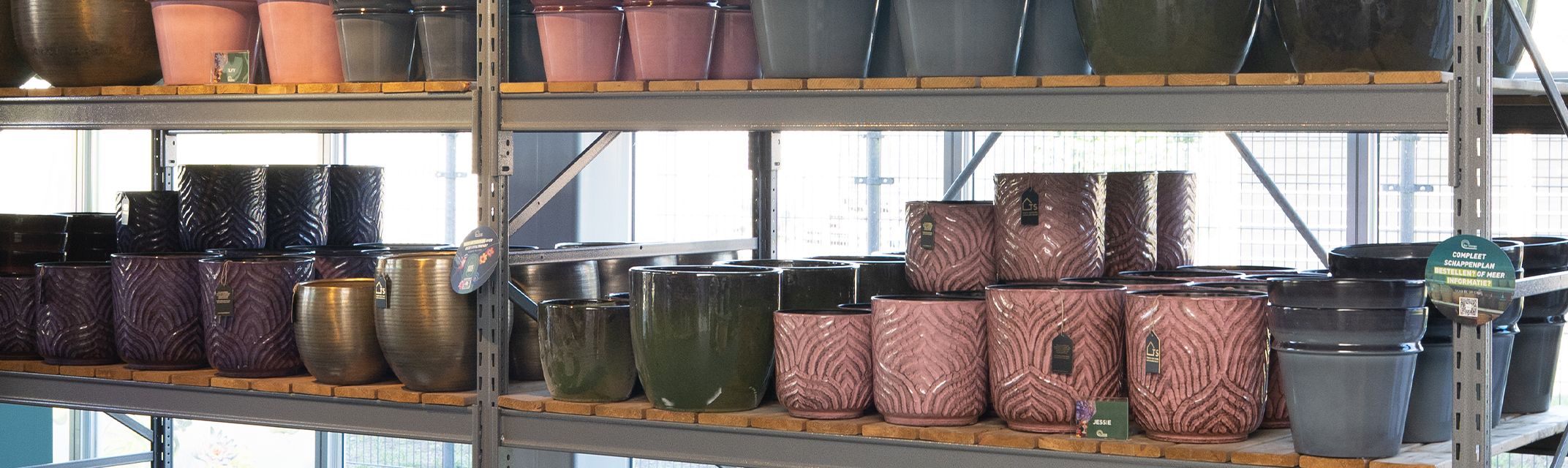 Magic Forest Outdoor Magic Forest Outdoor