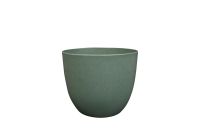 Pot Bola thyme D17 H15