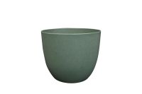 Pot Bola thyme D23 H20