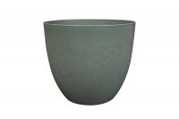 Pot Bola thyme D33 H29