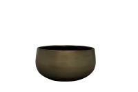 Coupe Esra shiny green D28 H13