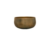 Coupe Esra champagne D28 H13