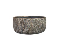 Coupe Maxim shiny earth D20 H9