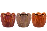 Pot Tulip couleur D15 H14
