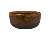 Coupe Brian desert D21 H10