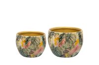 Pot jeu de 2 Monstera mystery D9 H7