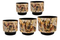 Pot jeu de 5 Camelia charm D22 H20