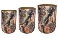 Pot jeu de 3 Monstera mystery D58 H78