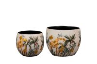 Pot jeu de 2 Safari dream D9 H7