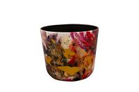 Pot Sweet magnolia D18 H16