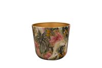 Pot Monstera mystery D16 H14