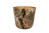 Pot Monstera mystery D21 H18