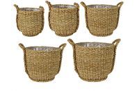 Pot jeu de 5 Ray naturel D40 H35