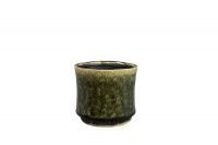 Pot Nolan pine D14 H12