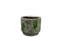 Pot Julian vert mousse D14 H14