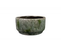 Coupe Julian vert mousse D23 H12