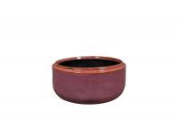 Coupe Mabel cherry D22 H10