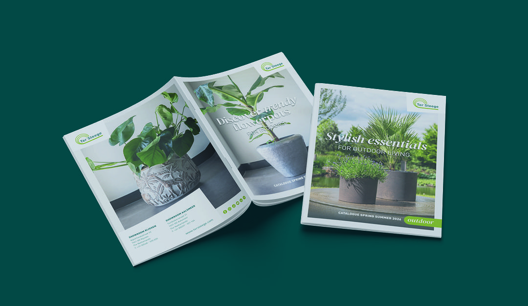 Nouveaux catalogues disponibles