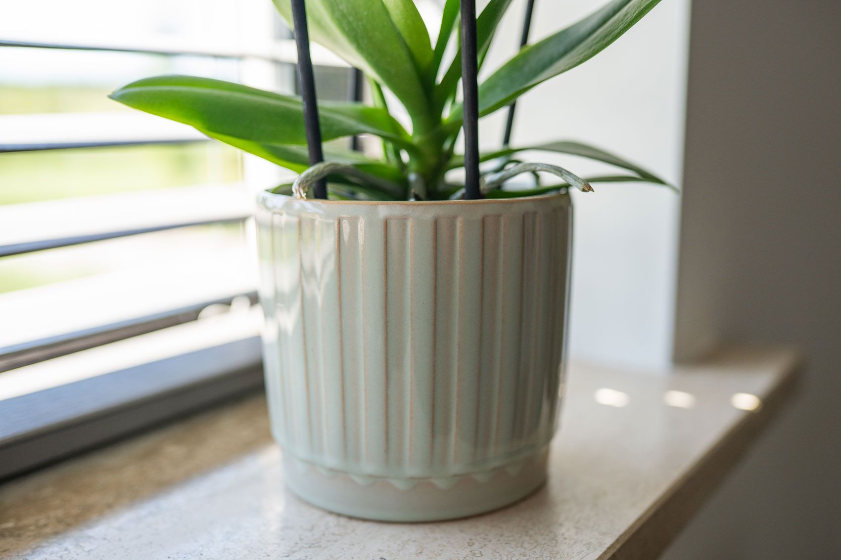 Collection Printemps 2026