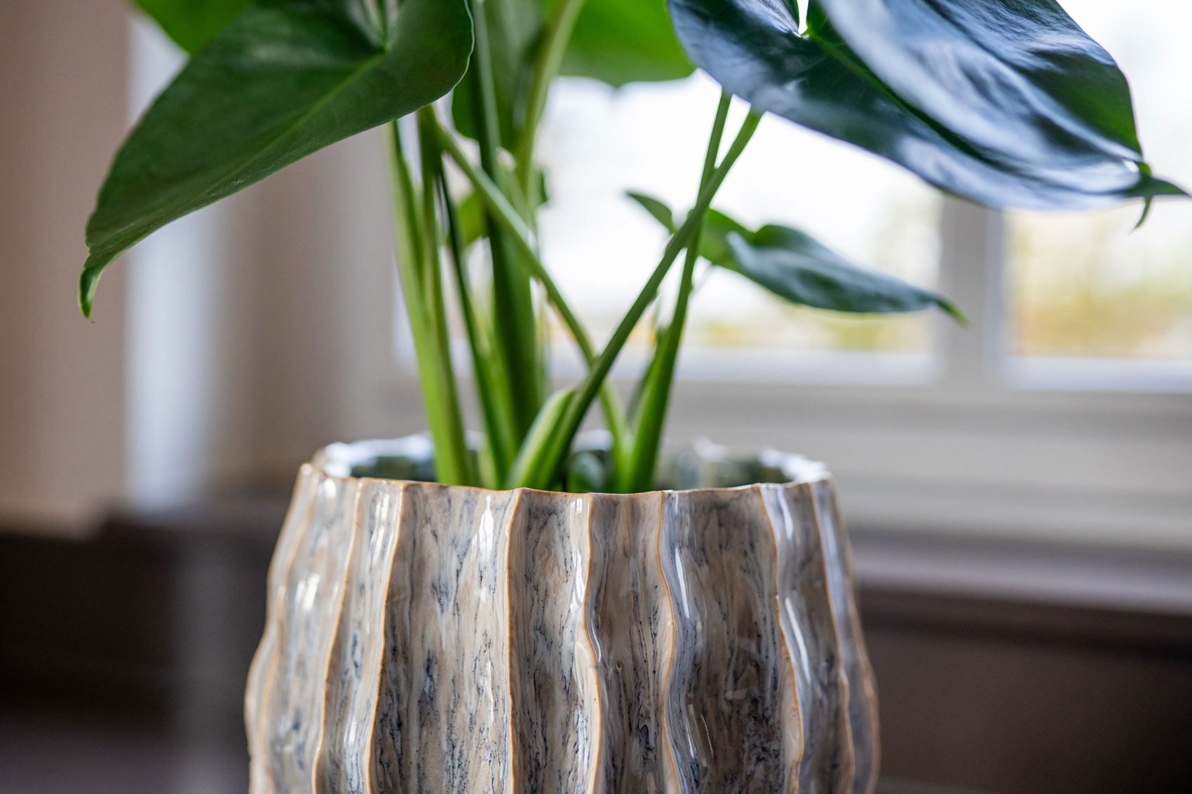 Collection Automne-Hiver 2026