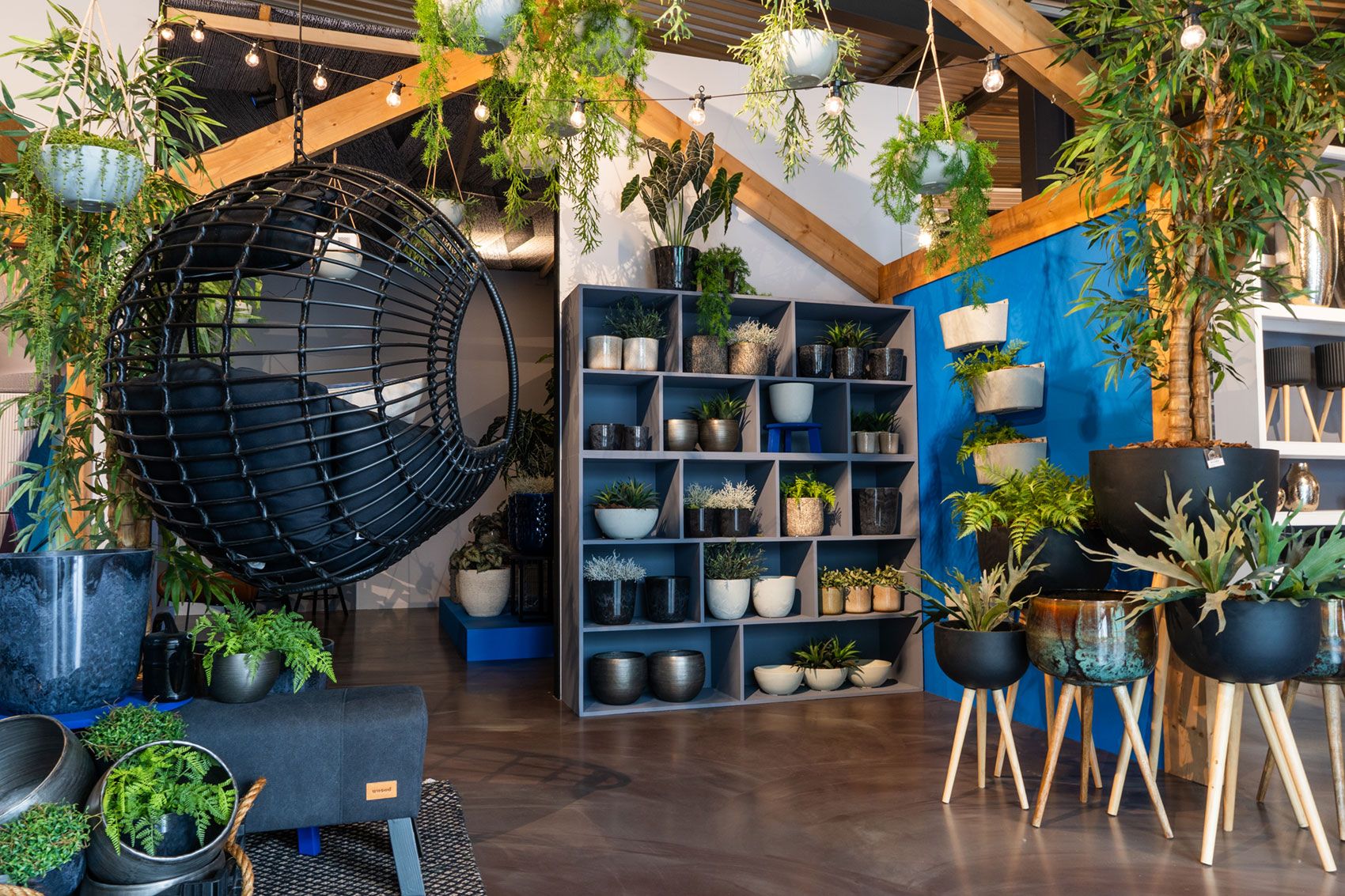 Venez visiter notre salle d'exposition